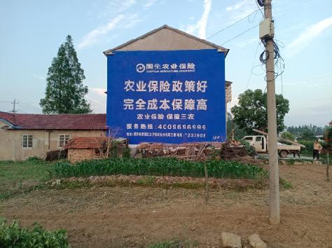 武平墙体广告为何受追捧?